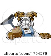 Bulldog Car Or Window Cleaner Holding Squeegee