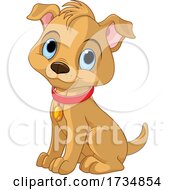 Poster, Art Print Of Cute Sitting Blue Eyed Puppy Dog