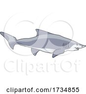 Poster, Art Print Of Swimming Shark
