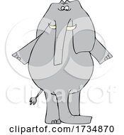 Poster, Art Print Of Cartoon Elephant With Two Trunks