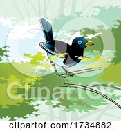 Poster, Art Print Of Magpie Bird On A Branch