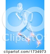 Poster, Art Print Of 3d Female Figure Running With Knee And Ankle Bones Highlighted