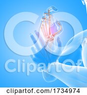 3D Male Medical Figure With Close Up Of Hand Bones