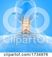 3D Male Medical Figure With Neck Bones Highlighted