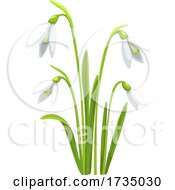 Poster, Art Print Of Spring Flowers
