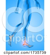 Poster, Art Print Of 3d Male Medical Figure With Feet Bones Highlighted