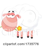 Poster, Art Print Of Sheep Chewing On A Flower