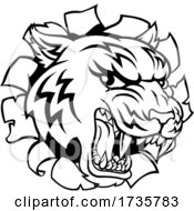 Poster, Art Print Of Black And White Tiger Mascot Head Breaking Through A Wall