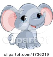 Poster, Art Print Of Cute Baby Elephant