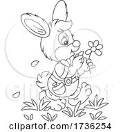 Poster, Art Print Of Bunny Rabbit Playing She Loves Me She Loves Me Not With Flower Petals