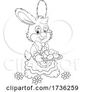 Bunny Rabbit Carrying Dyed Easter Eggs
