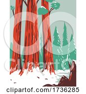 Poster, Art Print Of Redwood National And State Park During Winter With Coastal Redwoods Located Northern California Wpa Poster Art