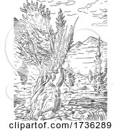 Poster, Art Print Of Prometheus Tree And Wheeler Peak In Great Basin National Park Nevada Woodcut Black And White