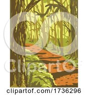 Poster, Art Print Of Hoh Rainforest In Olympic National Park Washington State United States Wpa Poster Art