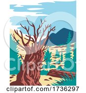 Prometheus Tree With Wheeler Peak In Nevada Wpa Poster Art