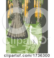 Poster, Art Print Of Everglades National Park With Egret In Mangrove And Cypress Trees Wpa Poster Art