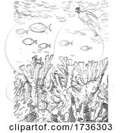 Snorkeler And Elkhorn Corals In Biscayne National Park Woodcut Black And White