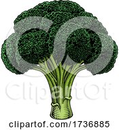 Poster, Art Print Of Broccoli Vegetable Vintage Woodcut Illustration