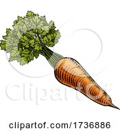 Poster, Art Print Of Carrot Vegetable Vintage Woodcut Illustration
