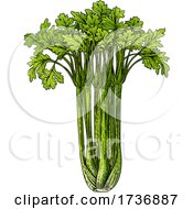 Poster, Art Print Of Celery Vegetable Vintage Woodcut Illustration