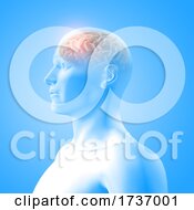 Poster, Art Print Of 3d Medical Image Showing Brain In Male Figure With Frontal Lobe Highlighted