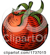 Tomato Vegetable Vintage Woodcut Illustration