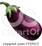 Eggplant Aubergine Vegetable Woodcut Illustration
