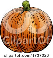 Pumpkin Vegetable Vintage Woodcut Illustration