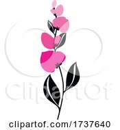 Poster, Art Print Of Sweet Pea Flowers