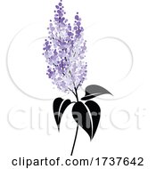 Poster, Art Print Of Lilac Flowers