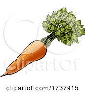 Carrot Vegetable Cartoon Illustration