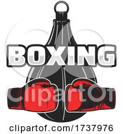 Boxing Design