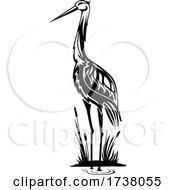 Black And White Heron by Vector Tradition SM