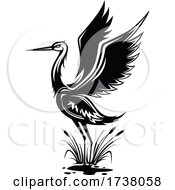 Poster, Art Print Of Black And White Heron