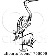 Black And White Heron by Vector Tradition SM