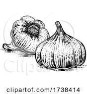 Poster, Art Print Of Garlic Bulbs