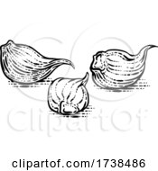 Poster, Art Print Of Garlic Cloves