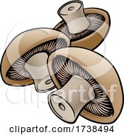 Mushroom Vegetable Cartoon Illustration
