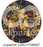 Poster, Art Print Of Flower Of The Kowhai Tree Color Line Art Oval