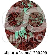 Poster, Art Print Of Flower Of Fruit Of Feijoa Or Acca Sellowiana Color Line Art Oval