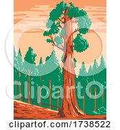 Poster, Art Print Of The General Grant Tree A Giant Sequoia Sequoiadendron Giganteum In Kings Canyon National Park California Wpa Poster Art
