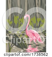 Poster, Art Print Of Flamingo In The Everglades National Park Located In Florida United States Of America Wpa Poster Art