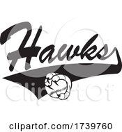 Poster, Art Print Of Bird Mascot Talons Grabbing A Baseball And Hawks Text