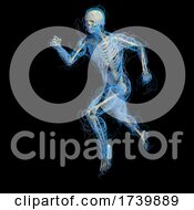 3D Medical Male Figure Made Of Glowing Splines