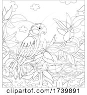 Poster, Art Print Of Parrot Perched Over A Beach