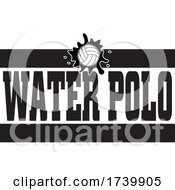 Poster, Art Print Of Ball And Water Polo Text