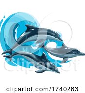 Poster, Art Print Of Swimming Dolphins