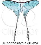 Actias Dubernardi Chinese Moon Moth by dero