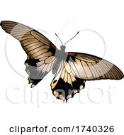 Poster, Art Print Of Butterfly Moth