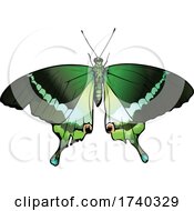 Poster, Art Print Of Green Butterfly